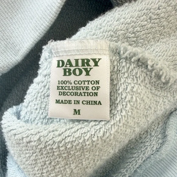 Dairy Boy “Dairy Girl Summer” Oversized Varsity Crewneck Pullover - Picture 14 of 14